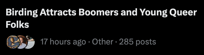 sentimental tamandua tweet media