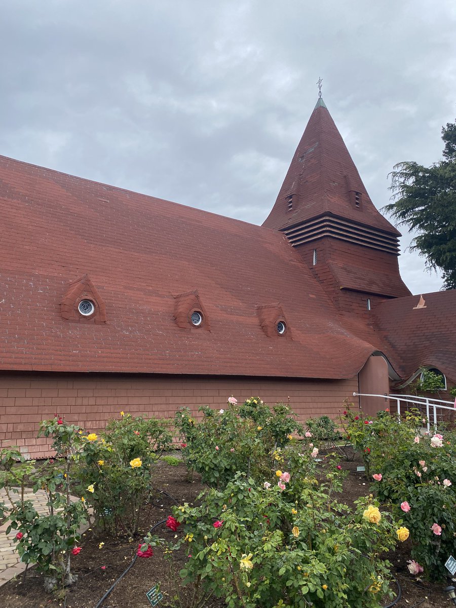 liturgyabbie's tweet image. #happysunday