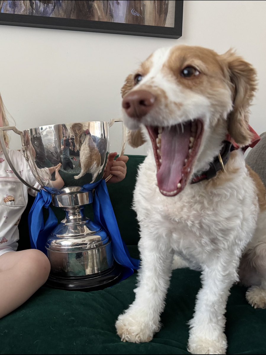 paullerman's tweet photo. @WinFinchleyFC Dogs with trophies @nonleaguedogs https://t.co/ClzF8f92mE