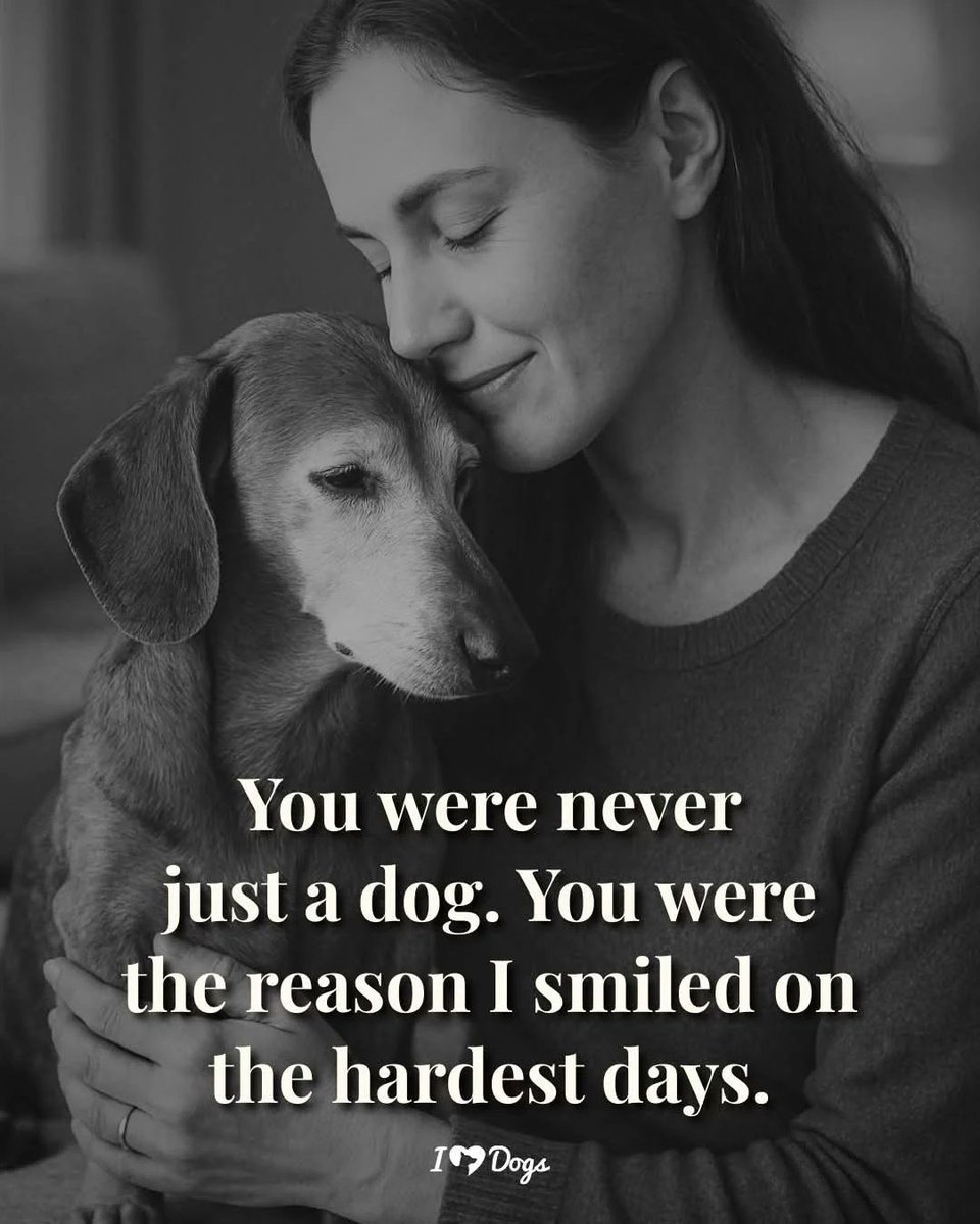 Dog Lovers tweet media