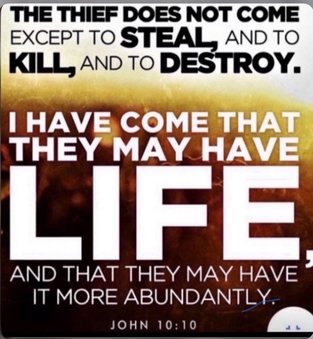 FaikeJstce's tweet image. Thanks #YH!
#HappySUNDAY to you, &amp;amp; #ALL at the #Vatican.