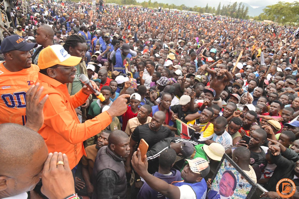 OCTOPIZZO tweet media