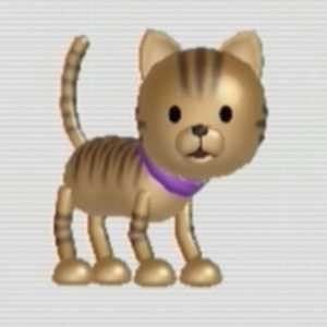 maia🧶🐈‍⬛ tweet media