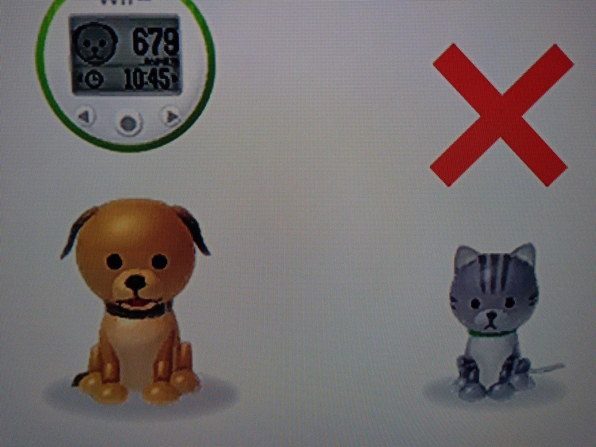 maia🧶🐈‍⬛ tweet media