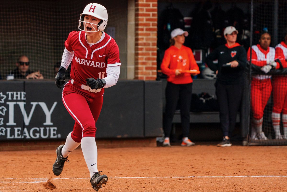 Harvard Softball tweet media