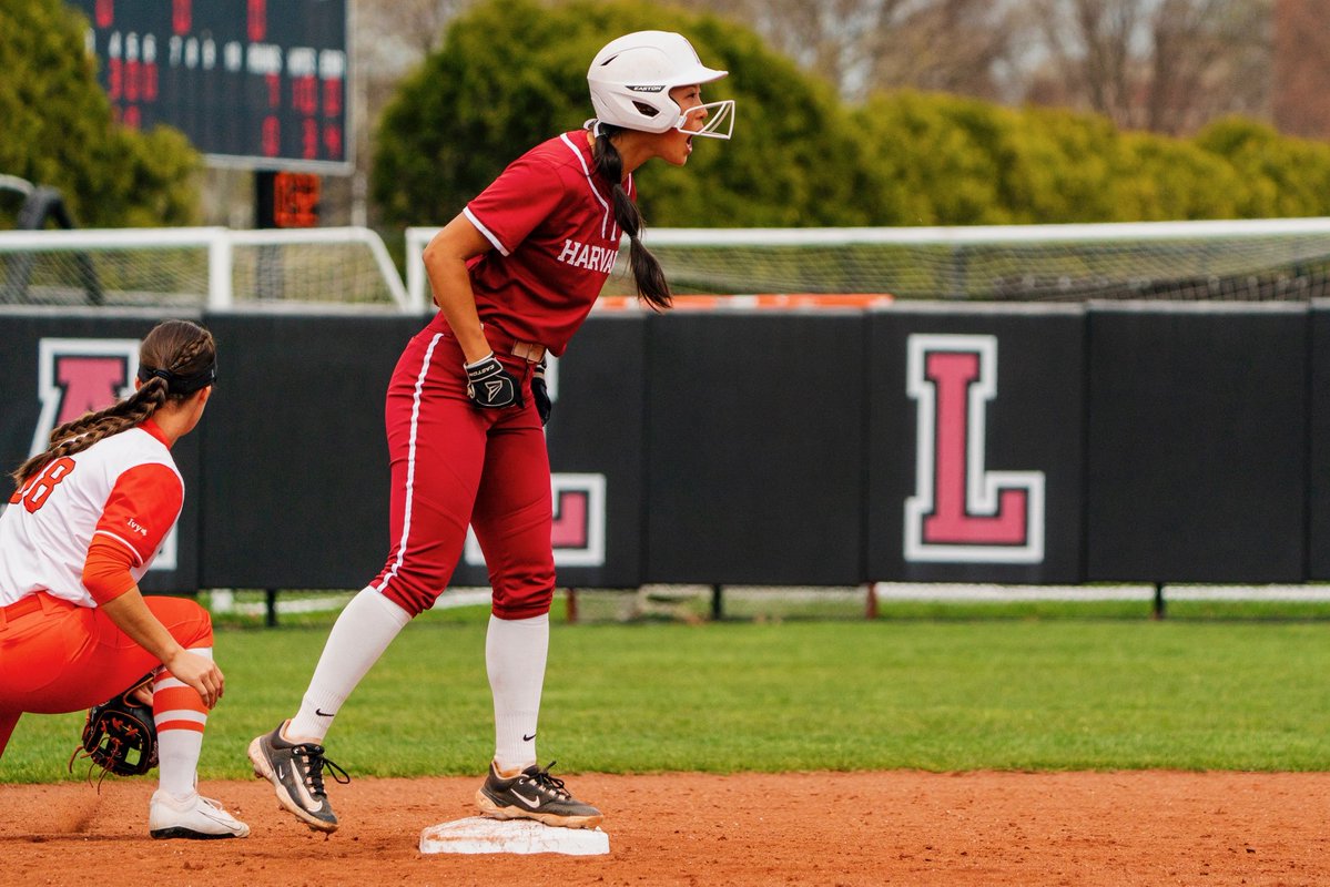 Harvard Softball tweet media