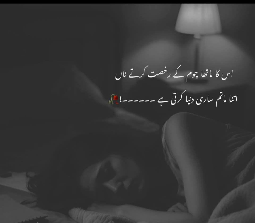 👑 Anjum Chaudhary tweet media