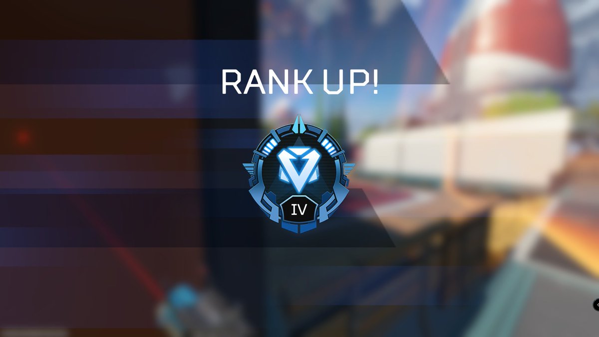 darmarr1 tweet media