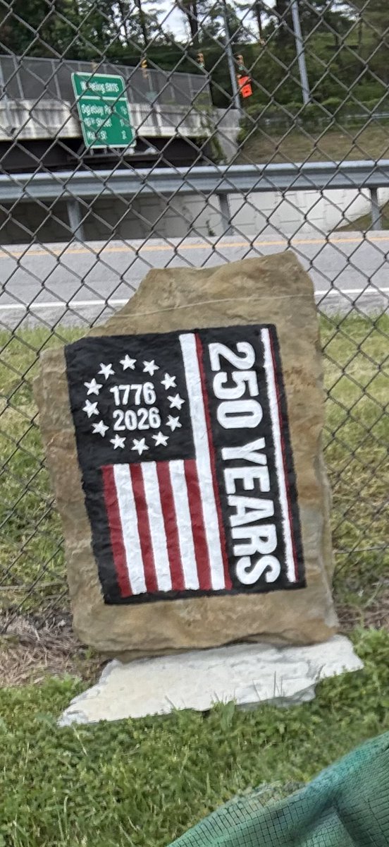 Dave 🇺🇸 tweet media