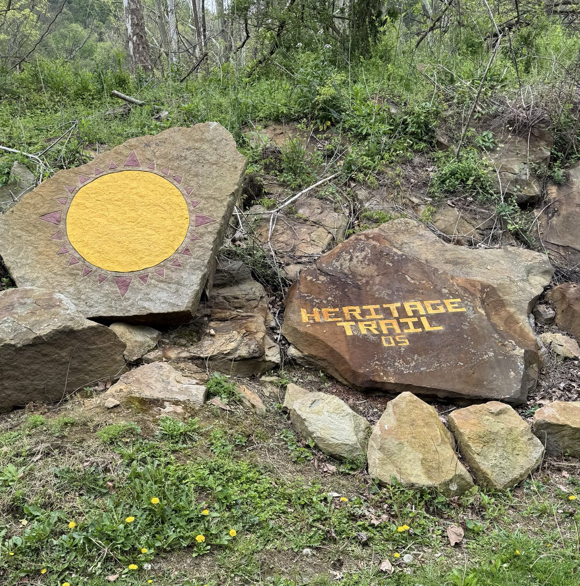 Dave 🇺🇸 tweet media