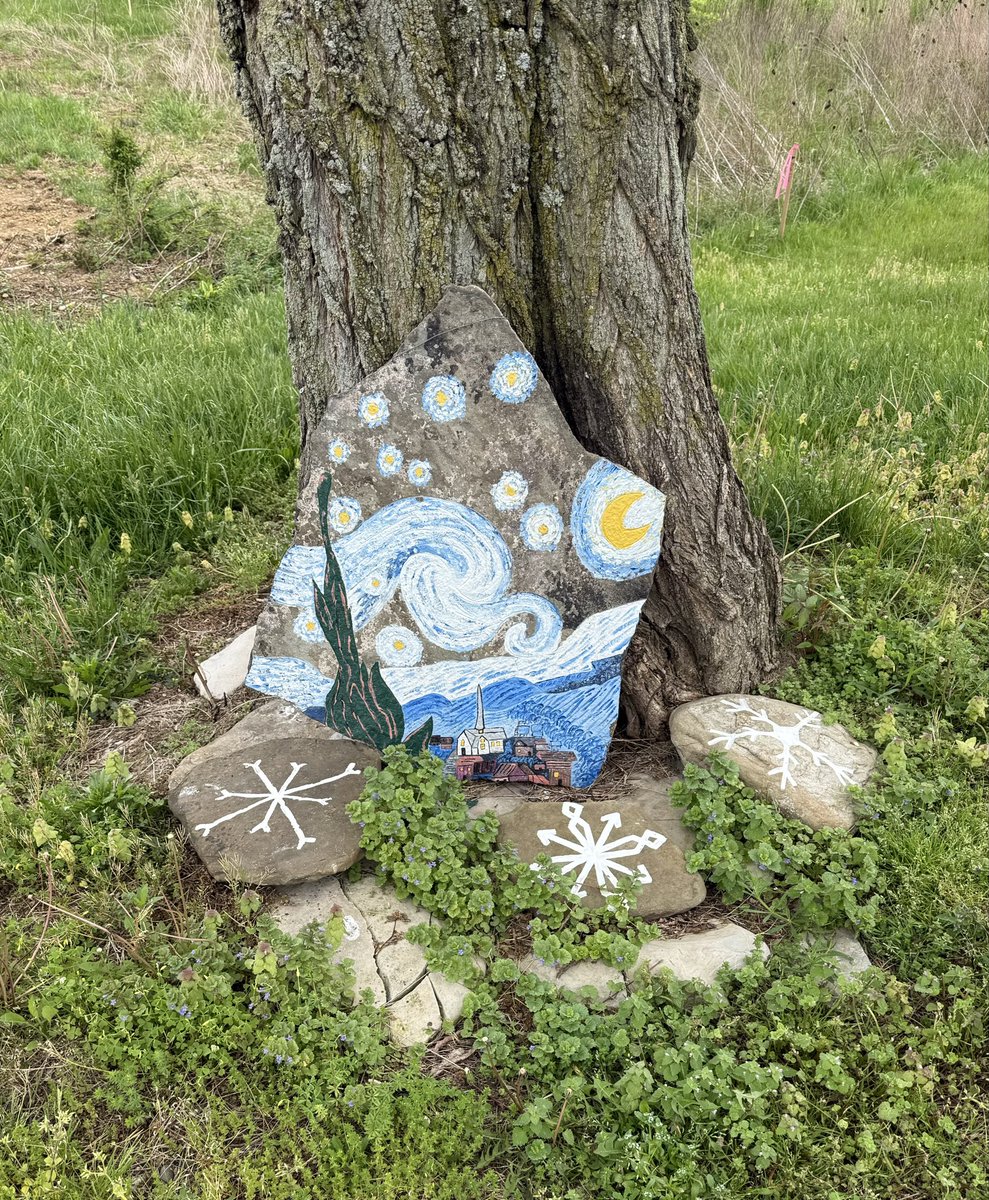 Dave 🇺🇸 tweet media