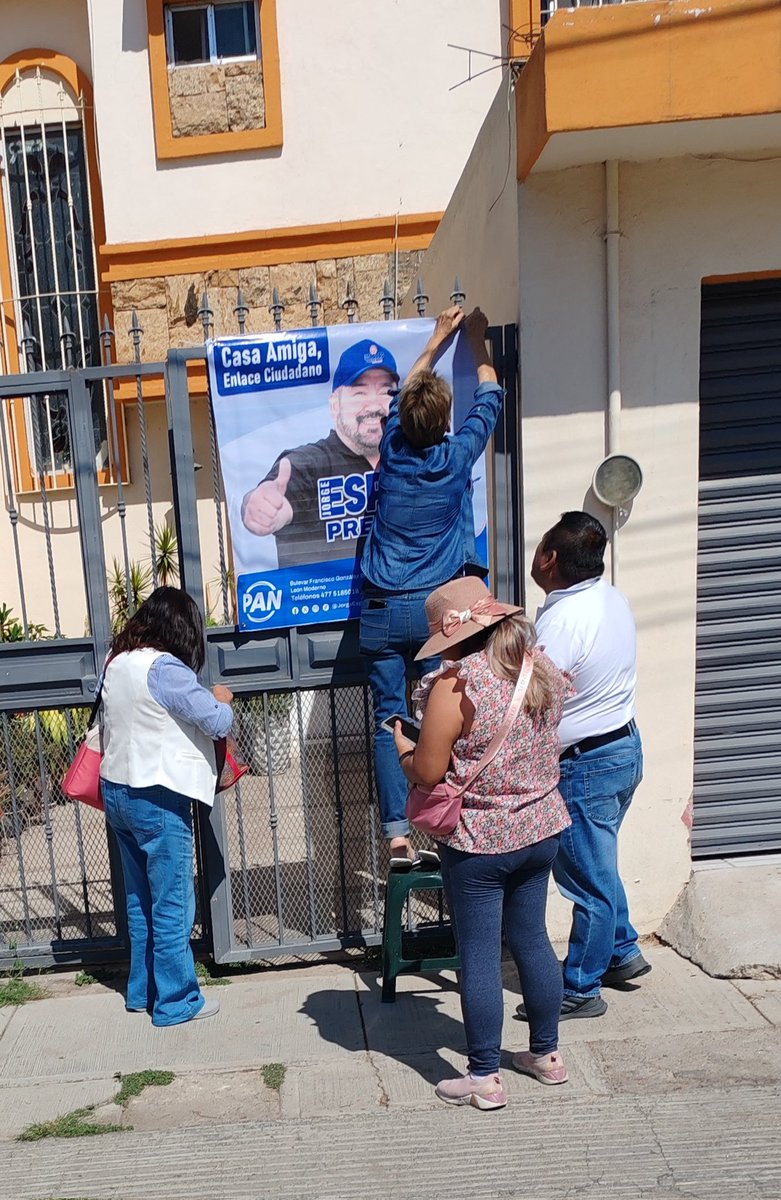 Potrillo en León tweet media