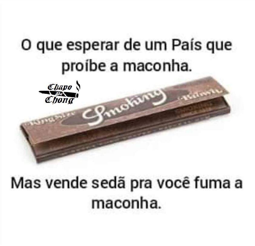 luis (@lulismoselvagem) on Twitter photo 