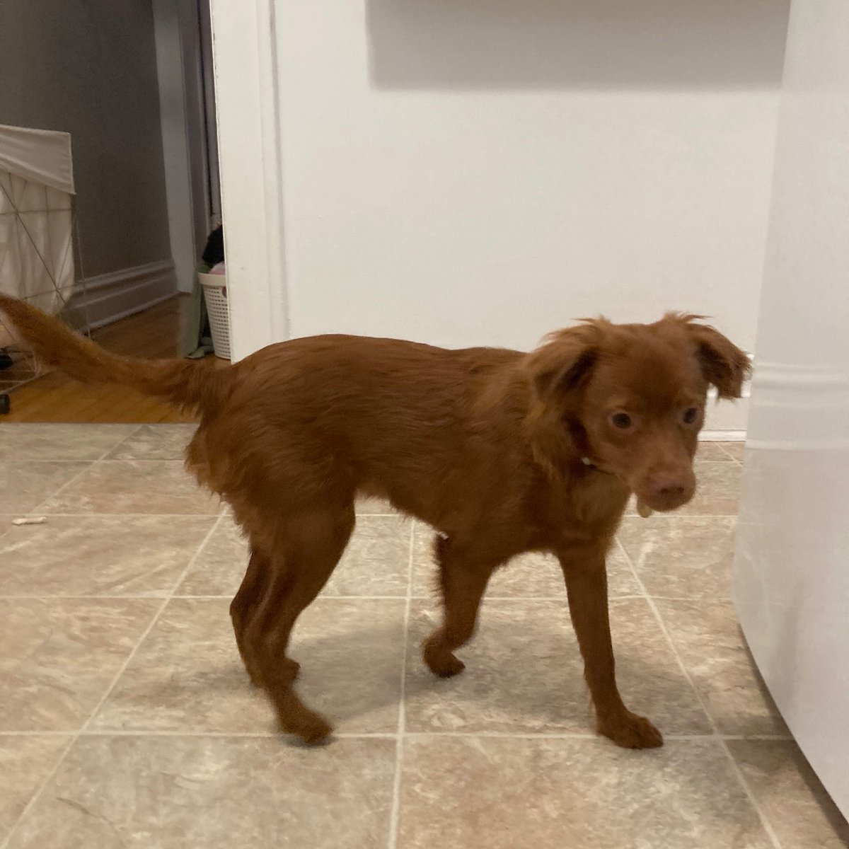 Ritwells tweet media