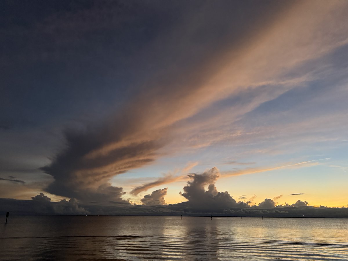 -djbf floridaman tweet media