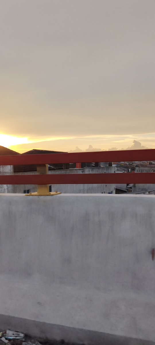 hanya Acil tweet media