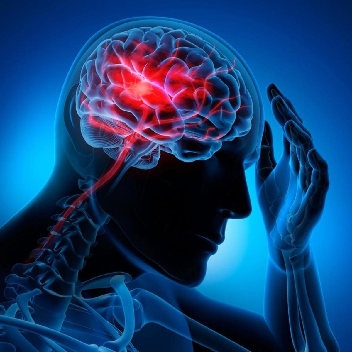 For all Curious tweet media