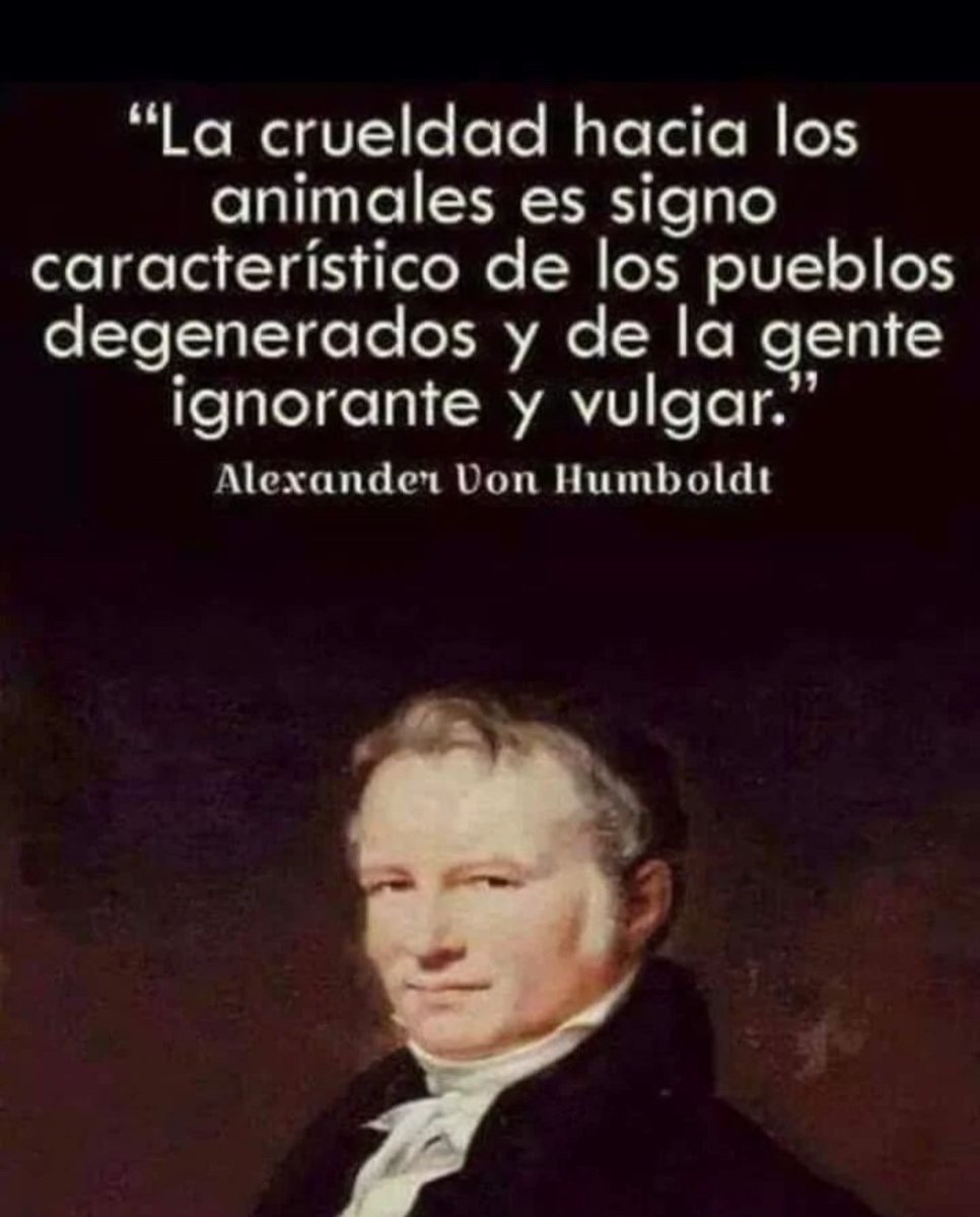 Pere Puntí tweet media