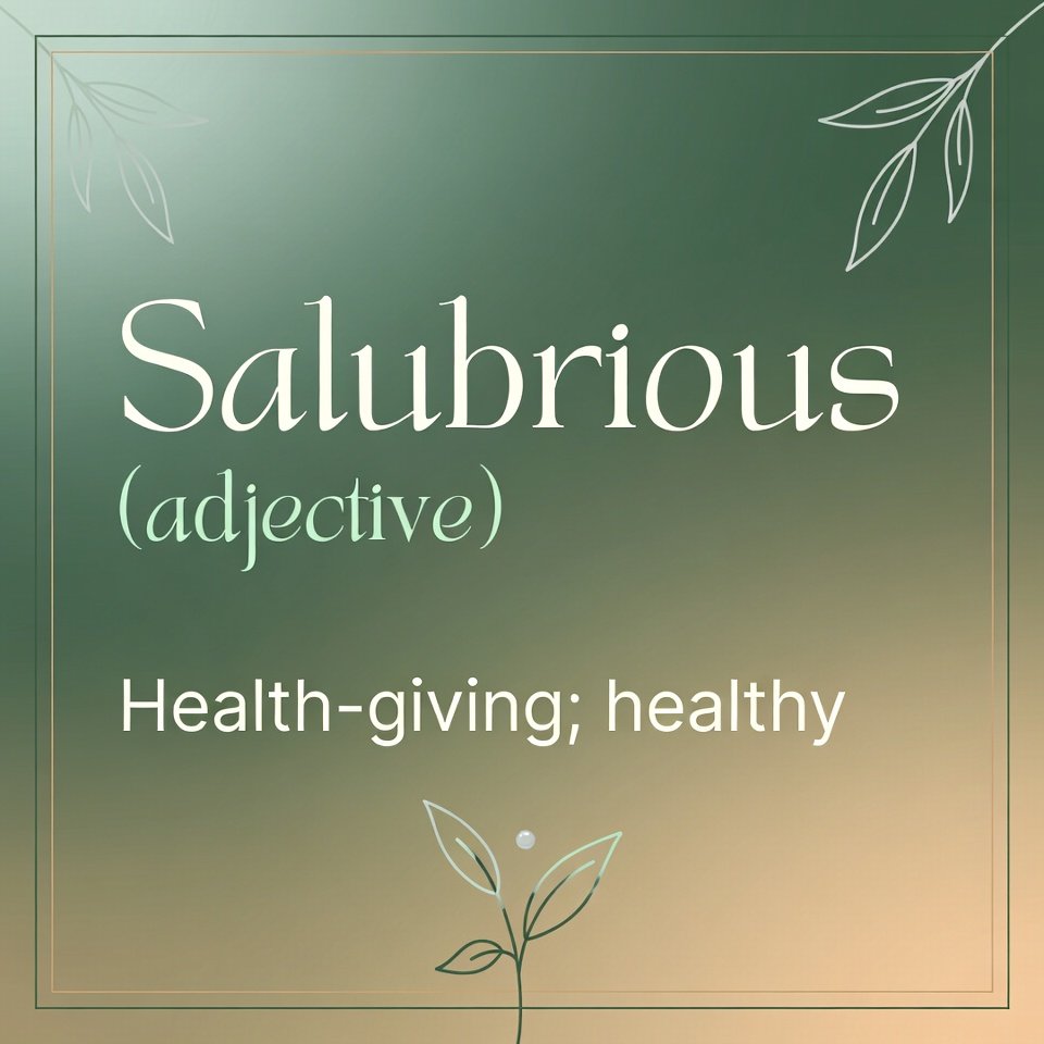 Niko Steinbrecher tweet media