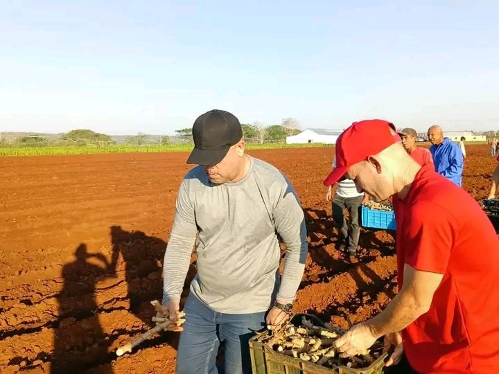 Miguel Colina tweet media