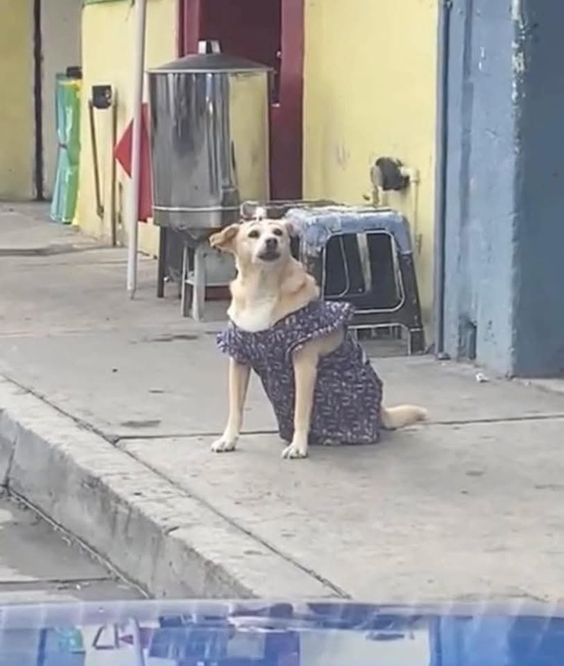 Sabes que la comida va a estar sabrosa, cuando la Doñita que la prepara, se ve así: