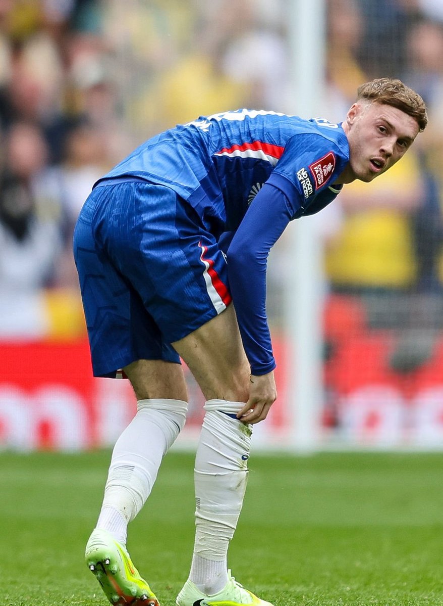 Random Feed tweet media