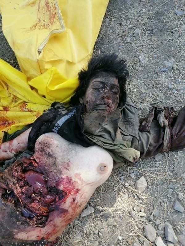 Sigurd 🐸 tweet media