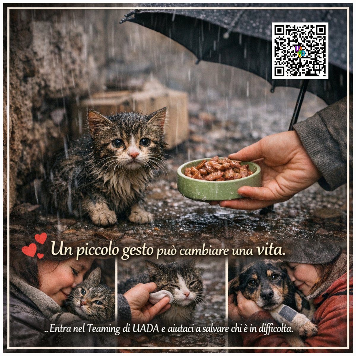 unonlus's tweet photo. Basta 1€ al mese per cambiare un destino. 🐾 Con il Teaming di UADA, il tuo caffè mensile diventa cibo e cure per chi è solo sotto la pioggia. Un piccolo gesto costante per non lasciarli indietro.
​Unisciti a noi: 
https://t.co/CrpgShBBkL ❤️
​#teaming #aiutiamoli #donazione https://t.co/l1JfcKPg2V