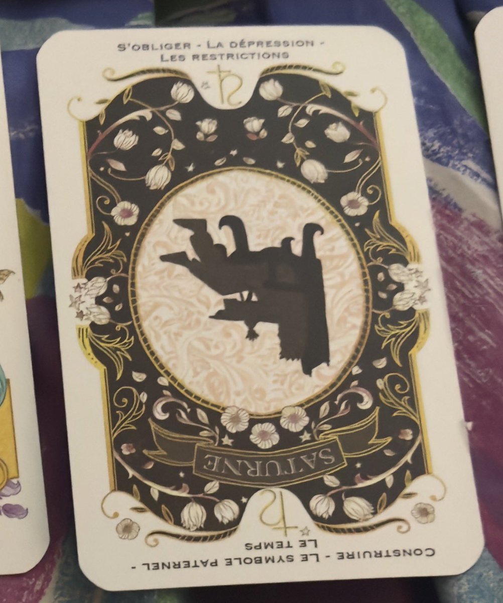 Zoé EN- IS 7 ☽ Enhypen’s protector ⋆｡𖦹°🫧⋆.ೃ࿔*:･ tweet media