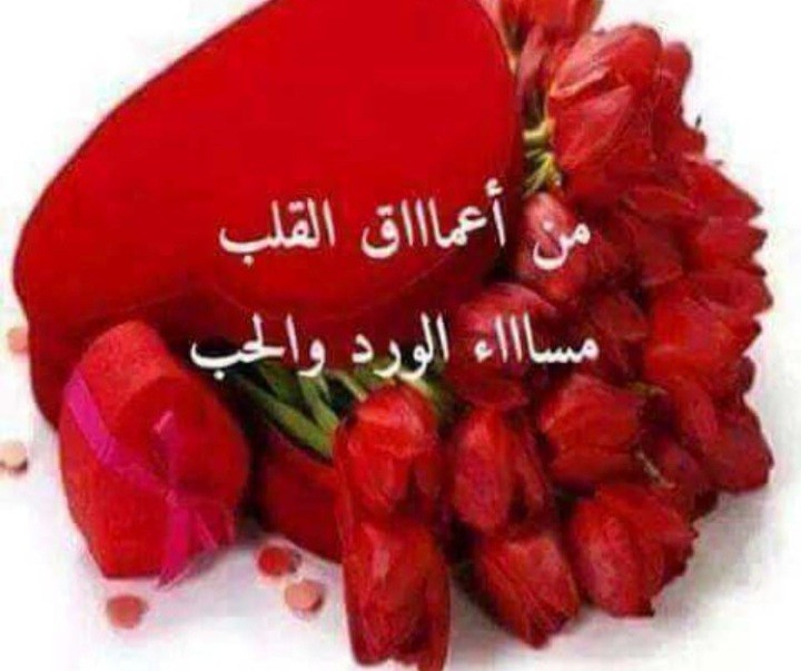 🇸🇦⁑ٱلُــُفُــُُـيُـُّـصُـُلُ‘ـُ tweet media