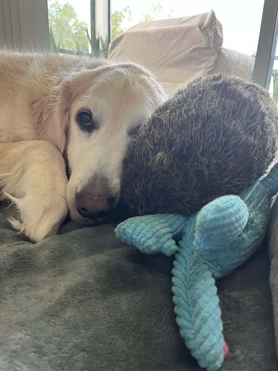 He loves his toys