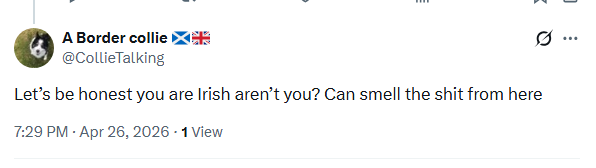 Scottish Filly 🏴󠁧󠁢󠁳󠁣󠁴󠁿 🇮🇪🇵🇸 tweet media