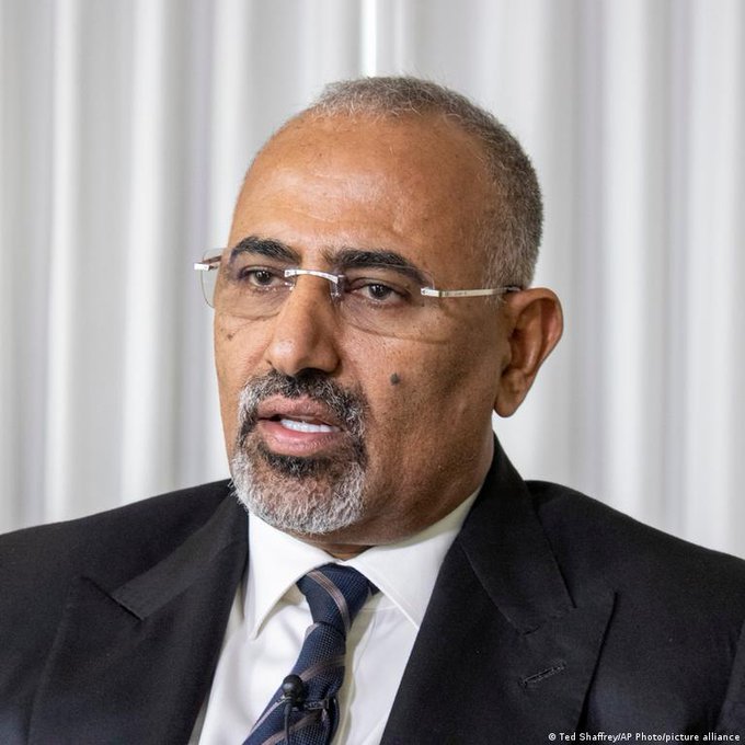 ميار الزُبيدي tweet media