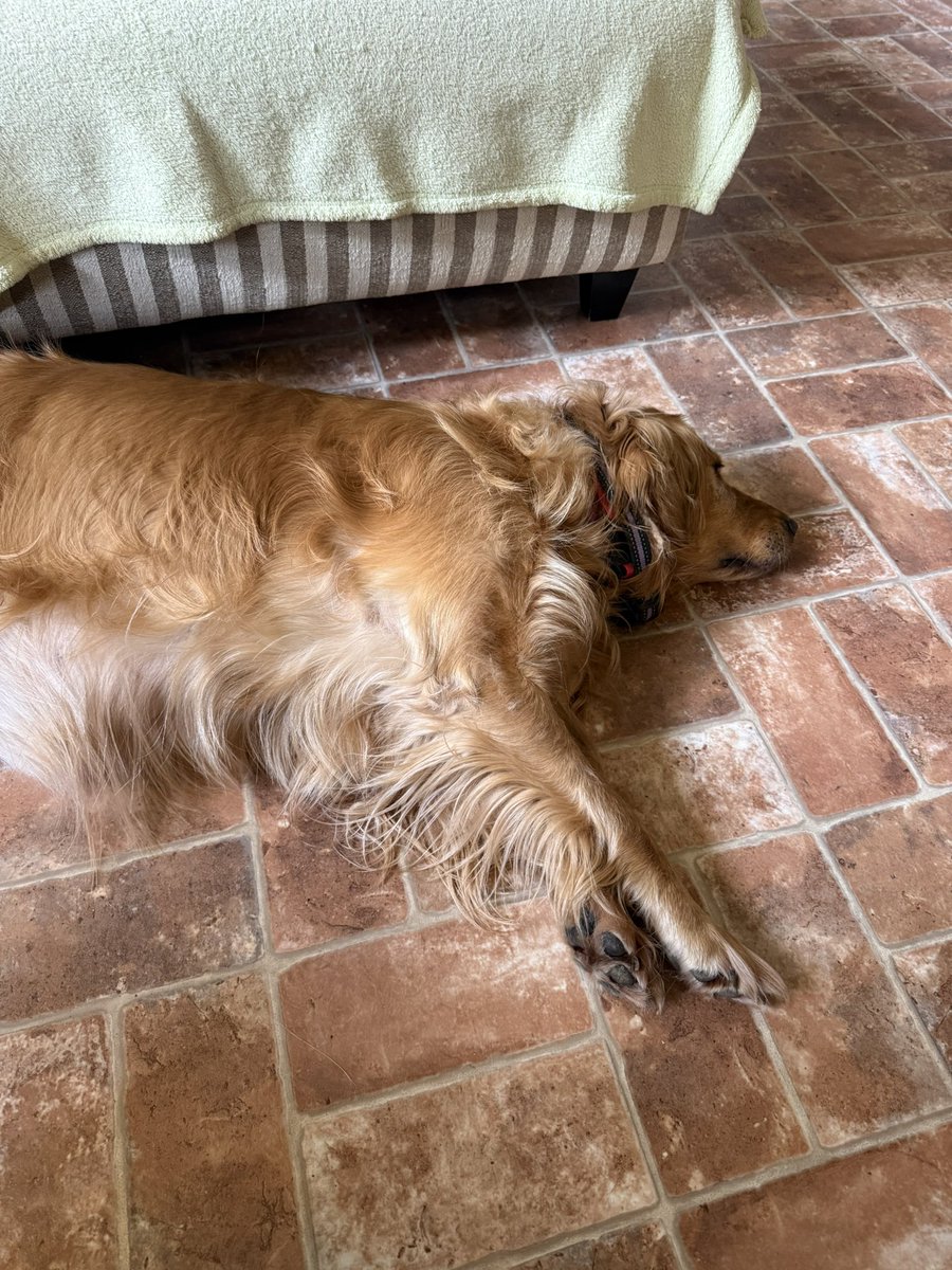 MarkAndrewsRN's tweet photo. @jeffdantzlertv Milledge is worn out from 10 hours of baseball yesterday     Go Dawgs!! https://t.co/sNos1PW1wV