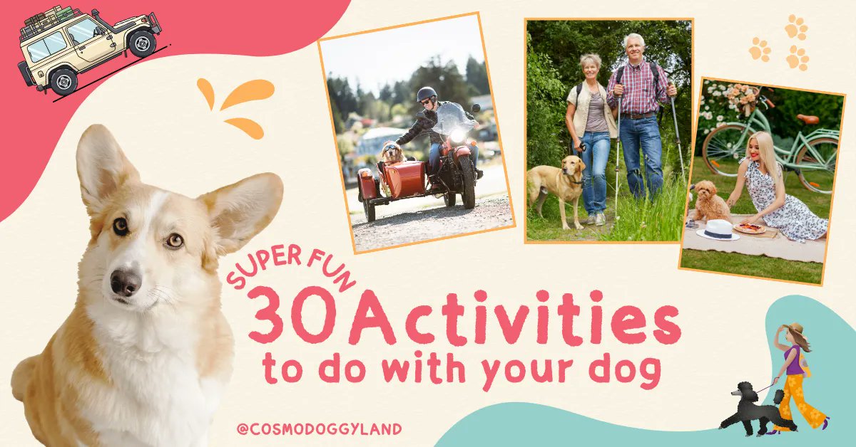 cosmodoggyland's tweet image. 🐾 Ready for some tail-wagging fun? Discover 30 exciting activities to enjoy with your furry friend, from hiking to movie nights! Unleash the adventure today! 🌳🐕 Read the full post here: cosmodoggyland.com/30-fun-activit… 🐶✨ #doglife #DogActivities #outdoors #outdooradventures