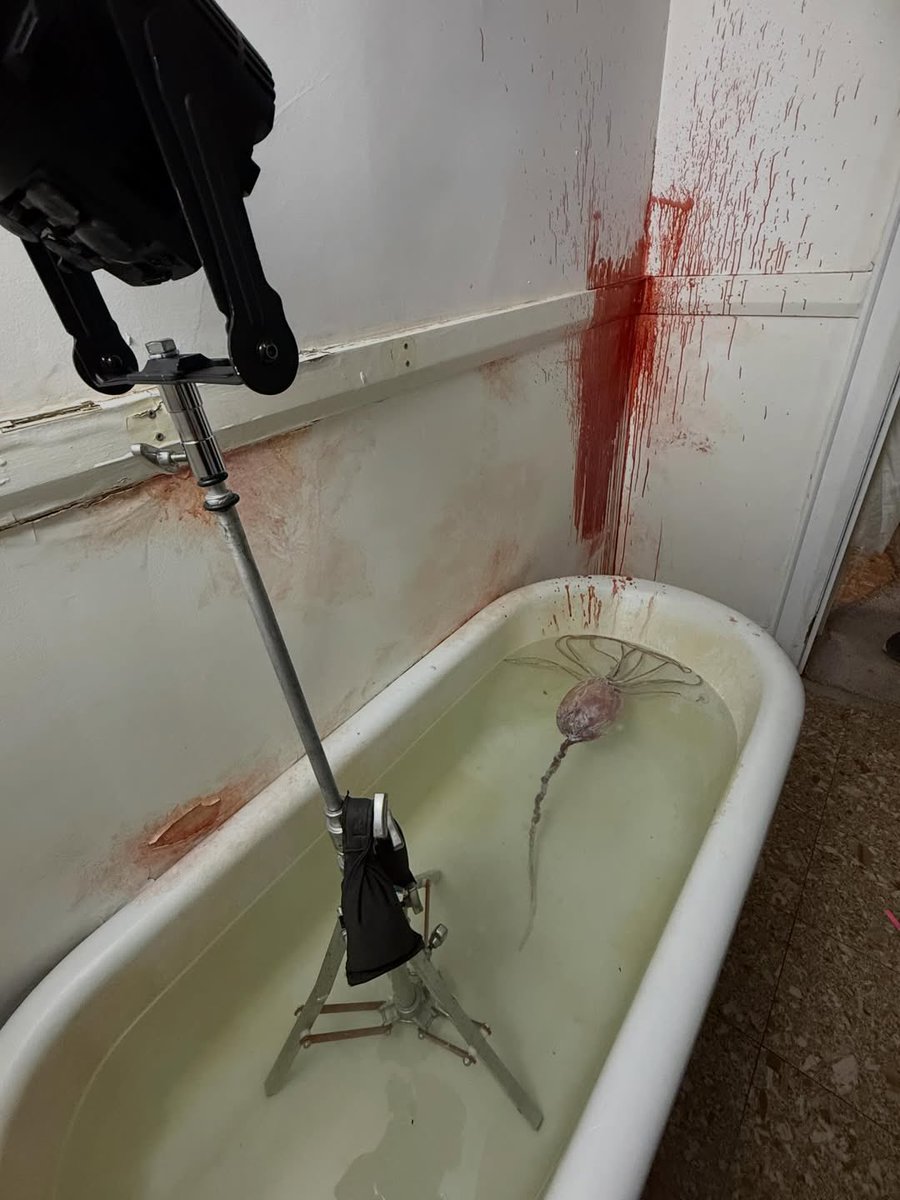 Heartstopper Brasil tweet media