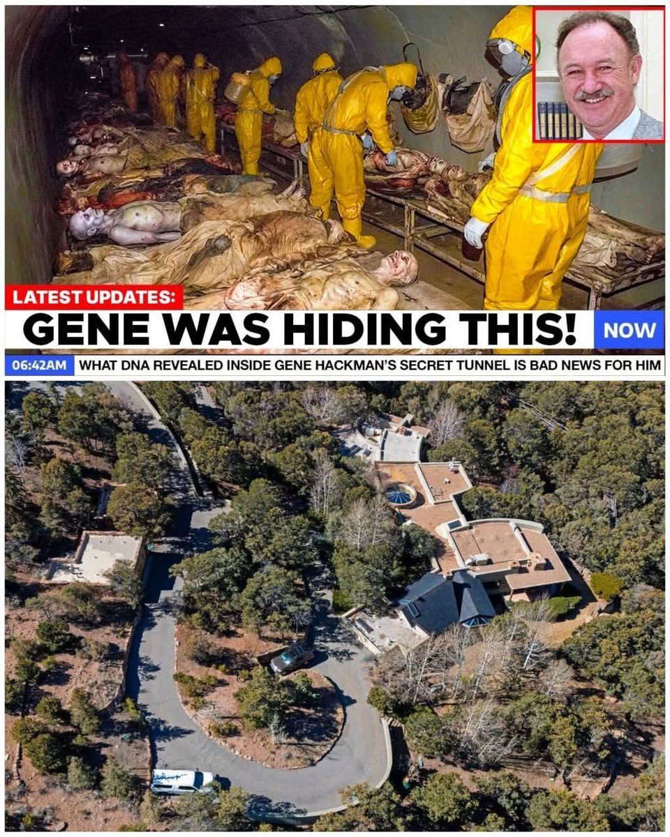 Collective Spark tweet media