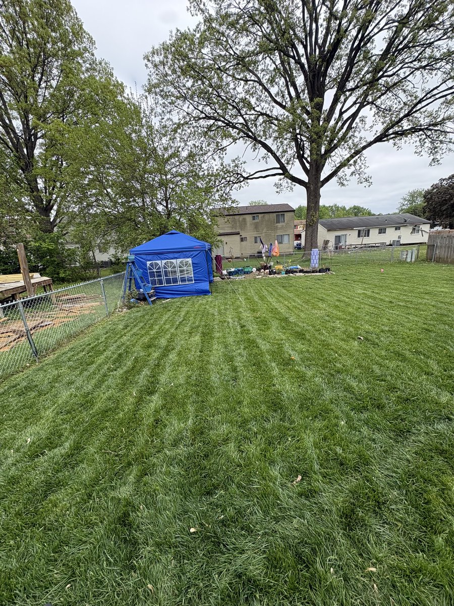 Chad A. Oliver tweet media