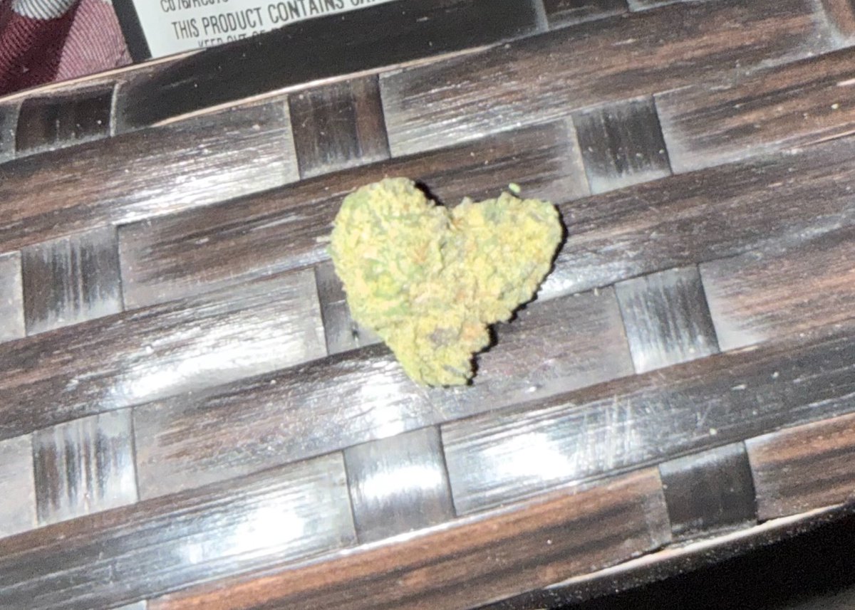 needypuppy tweet media