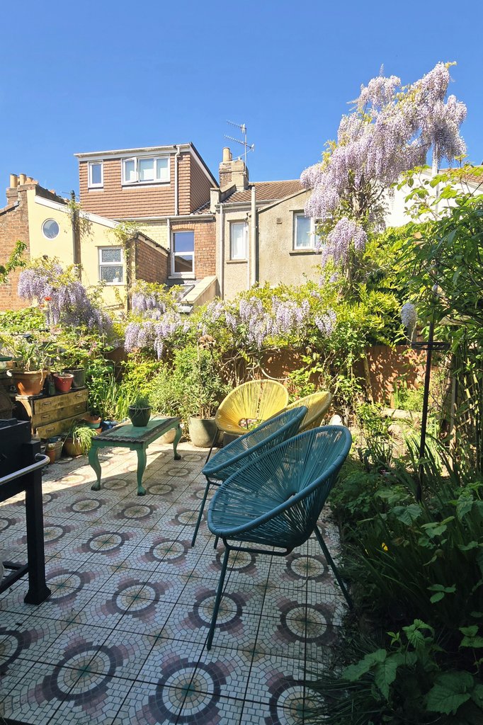 ZedWolfe's tweet photo. Bloody love this time of year in the garden.  Seeing the wisteria burst into life for a couple of weeks to start things off with a bang, knowing that by the time its done, the roses should have started kicking off. Colour somewhere until winter again from now with a bit of luck https://t.co/suiKbnsivC