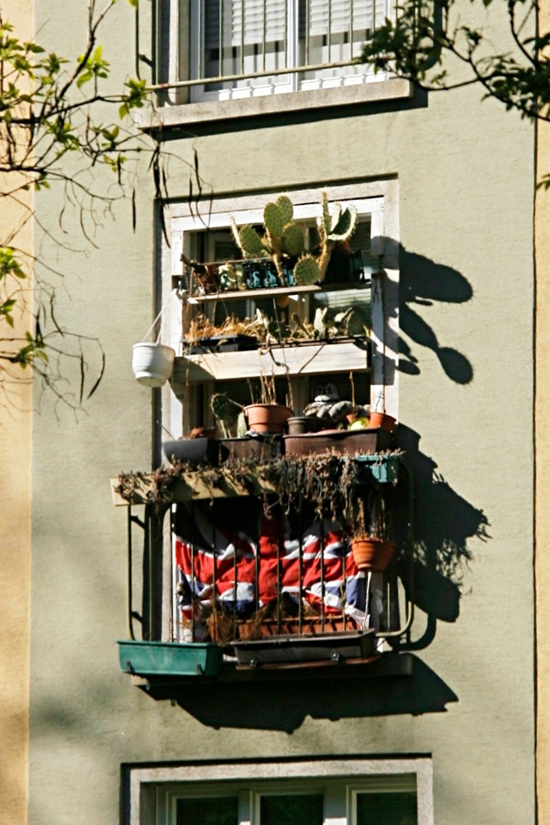 The Apex Archive tweet media