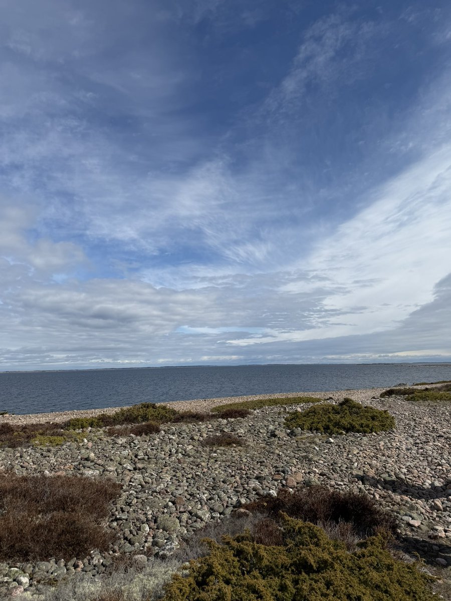 hm_grandell's tweet photo. Maaginen viikonloppu Jurmossa. Ihana saaristo, karun kaunis luonto ja huippuseura. #jurmo #saaristo #hyvinvointi #joogaretriitti #parainen #pargas https://t.co/X0eSqh3DPB