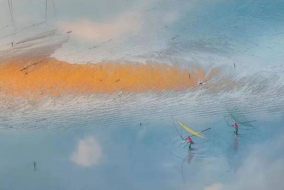 Elena Lavrik tweet media