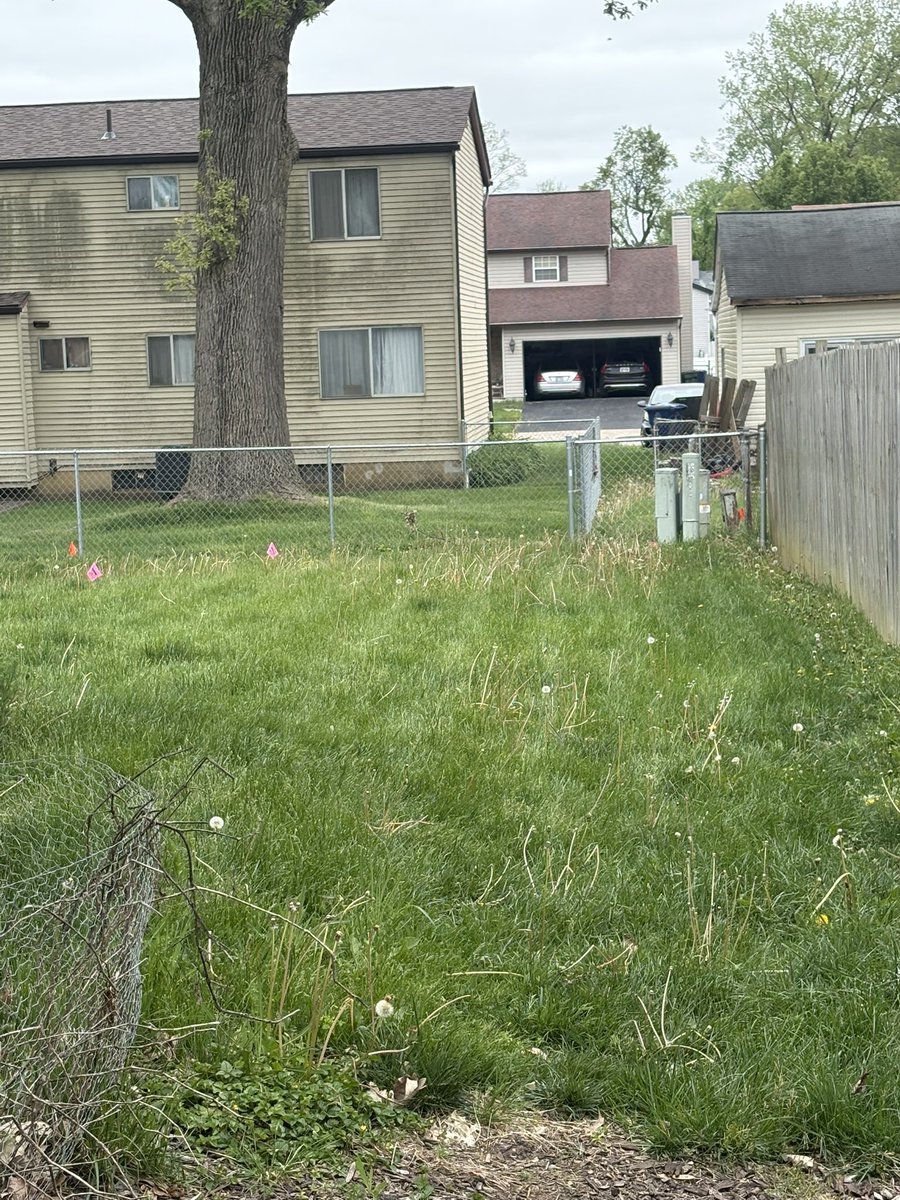 Chad A. Oliver tweet media