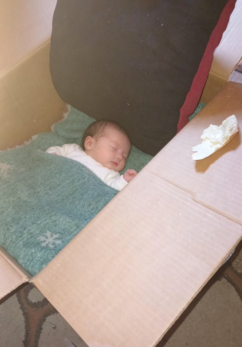 JoyRita5244's tweet image. لا املك سوي هذا الطفل 
انا خائف عليه وأرجوكم ساعدوني لتوفير الحليب والبامبرز 
سوء التغذية ينتشر أرجوكم ساعدوني 
#gaza
#FreePalestine 
#gazze