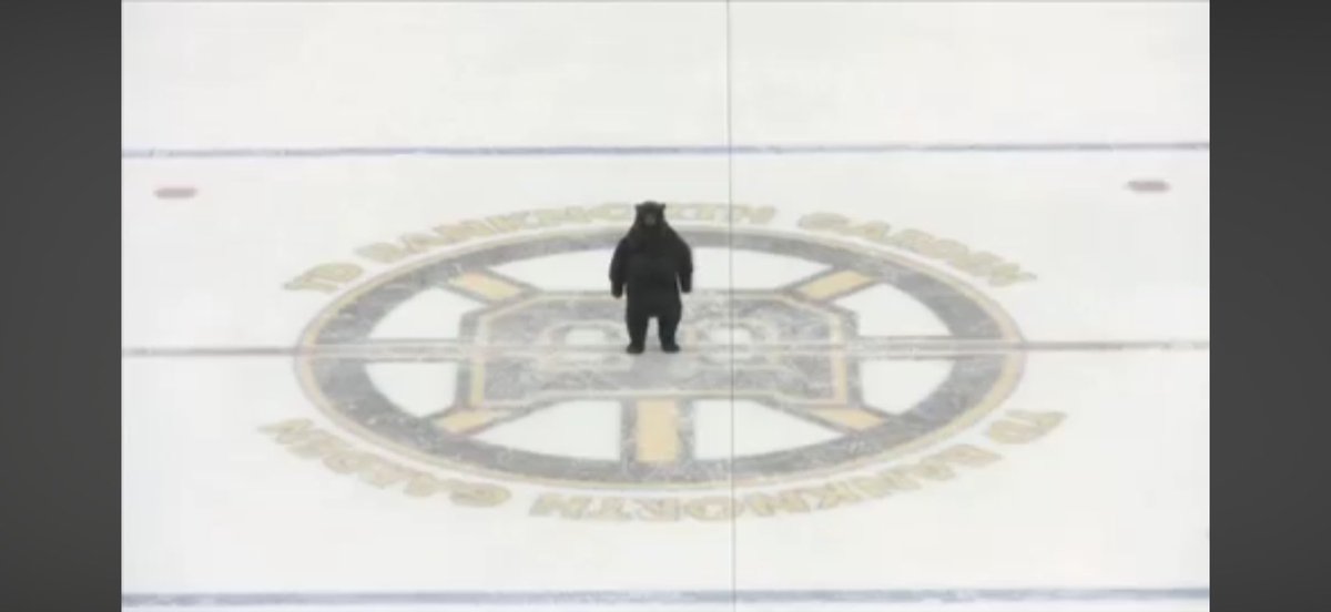 The Retahded Bruins Bear tweet media