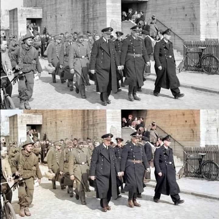 Erik Thackrey tweet media