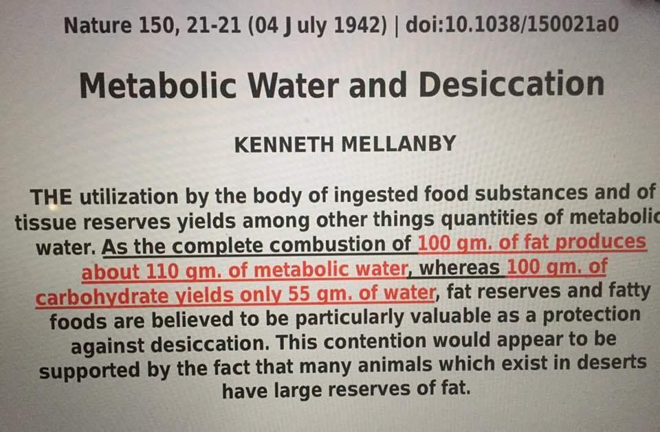 ☣️ Pleb Kruse = BTC foundationalist in exile 🟩🔆 tweet media