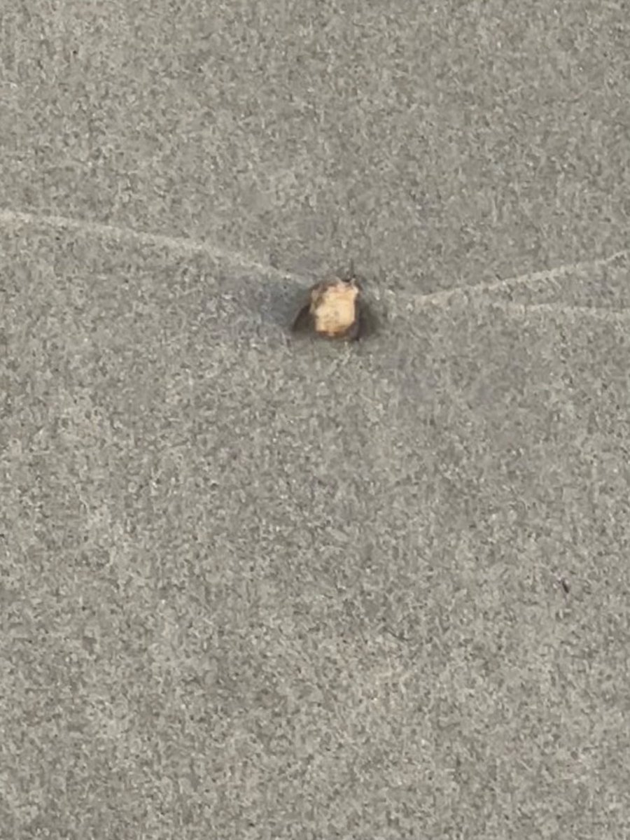 BrooklynMorganJ's tweet image. we withdraw
when we're faced
with circumstances
that are best set aside
until they resolve themselves 

once resolved
we once again move on

always
we move forward 

i am
brooklynmorgan
#inspire #kindness #poetry