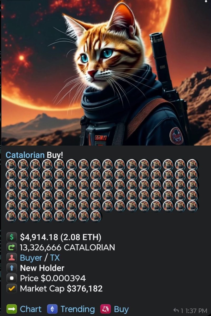 CatalorianAI tweet media